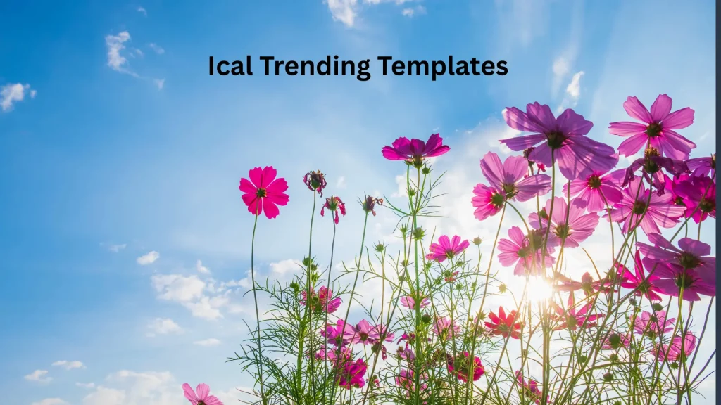 ICAL CapCut Template banner
