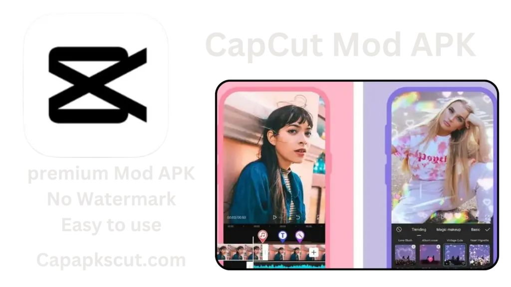 CapCut VideoEditor 3