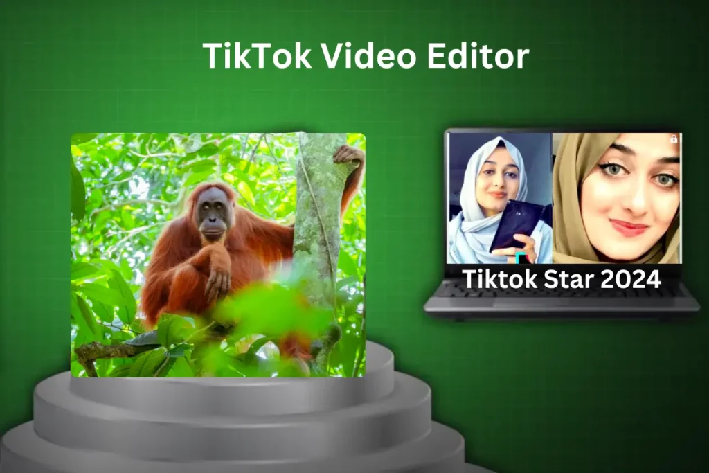 tiktok video editor user friendly interface